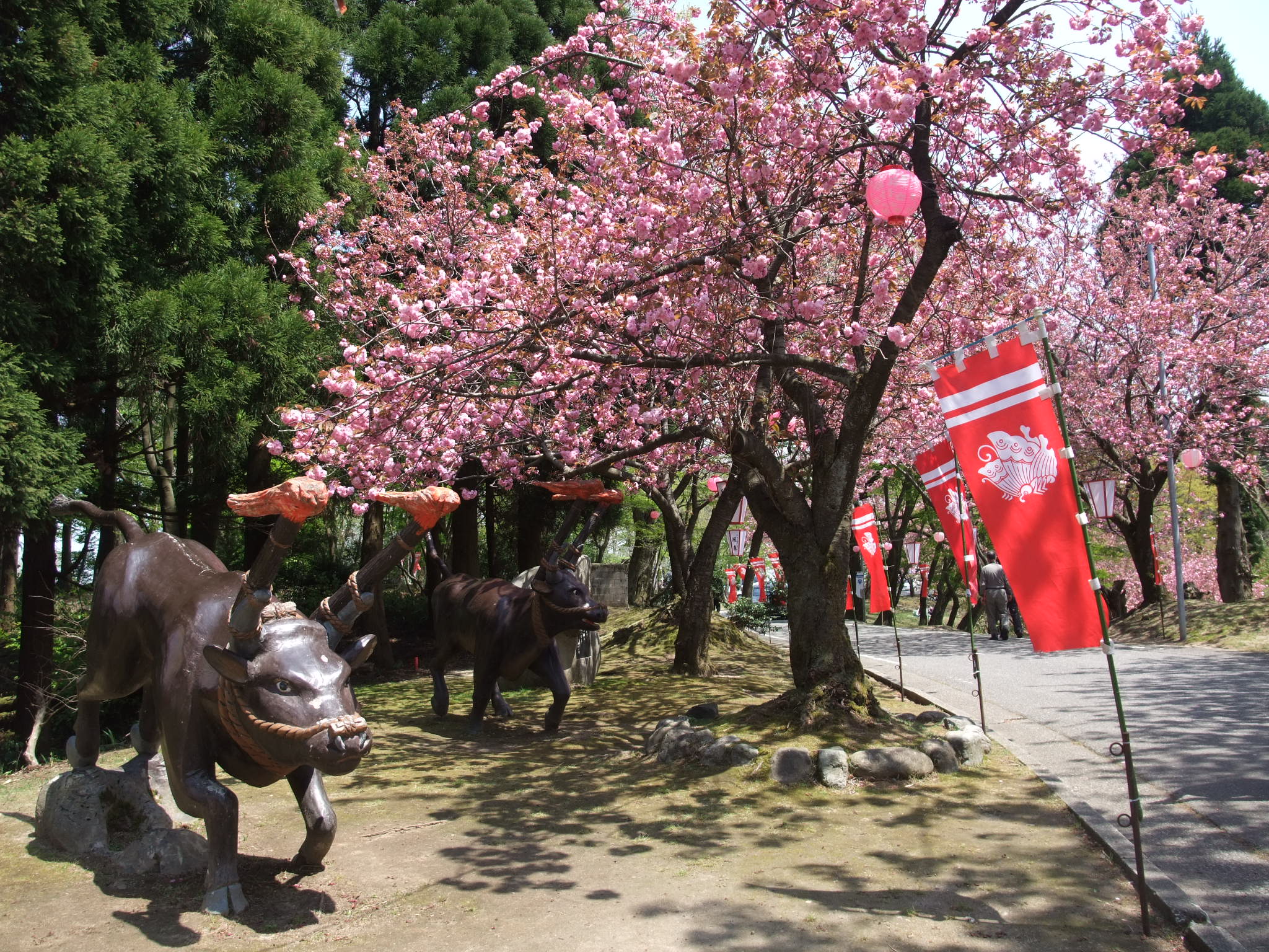 倶利伽羅(くりから)県定公園の写真