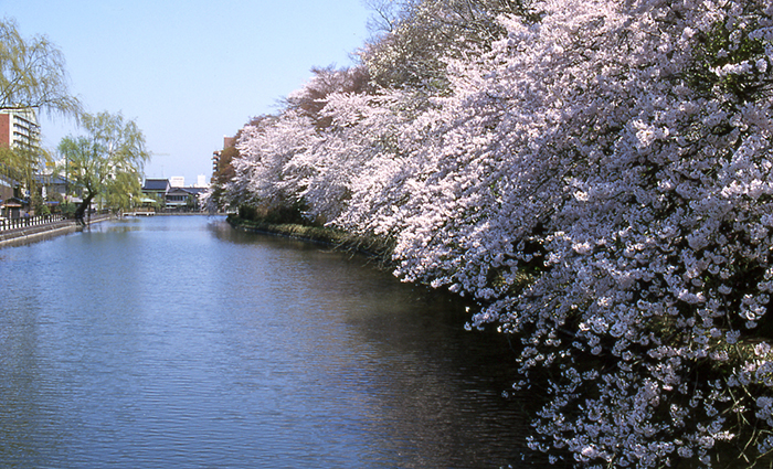 高岡古城公園（高岡城跡）の写真