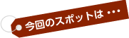 今回のスポットは・・・